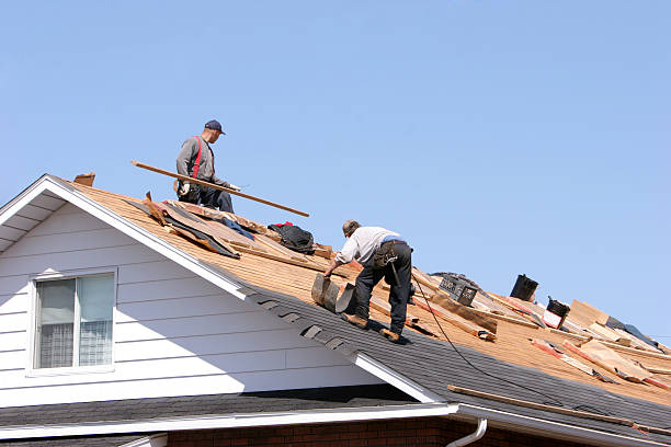 Best Cold Roofs  in Deltana, AK
