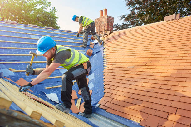 Best Chimney Flashing Repair  in Deltana, AK